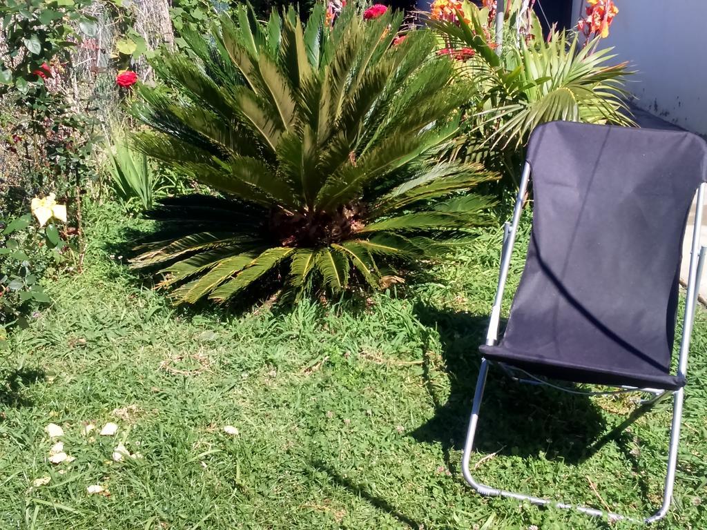 Canto Da Manu Estreito Da Calheta Екстер'єр фото